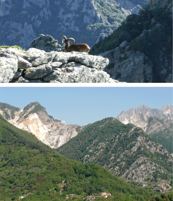 parco delle alpi apuane