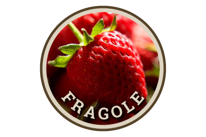 le fragole ortobio